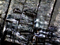 Closer inspection of the tool mark shows a series of parallel striations consistent with a wrench.